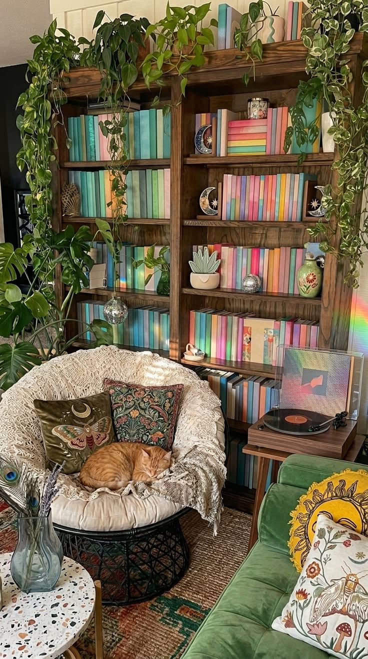 A cozy living room with a large wooden bookshelf filled with rainbow-colored books, surrounded by lush green plants and a sleeping cat in a round chair.